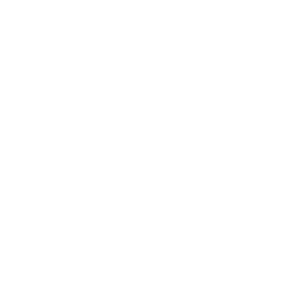 Test Automation Services